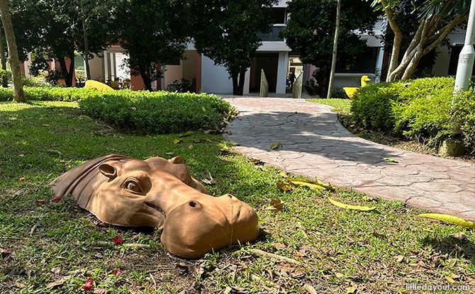 Hippo at Buangkok Square Park