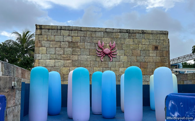 bubble fiesta adventure cove