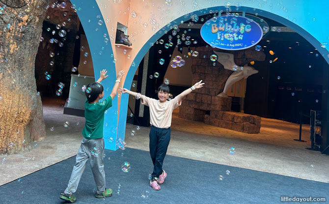 bubble fiesta adventure cove 02