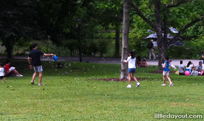 7 Fun Ideas for a Wonderful Day in the Park bubbles