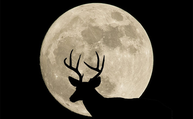 Why is July's Supermoon Called a Buck Moon?