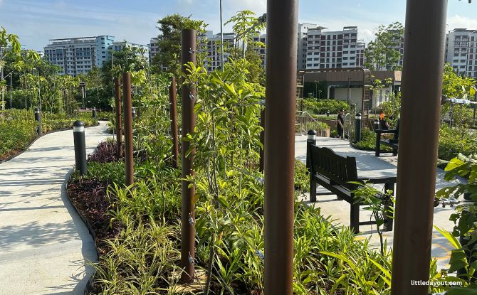 Bukit Canberra Themed Gardens: Playgarden, Orchard, Edibles & Sunken Garden 5 espalier trees