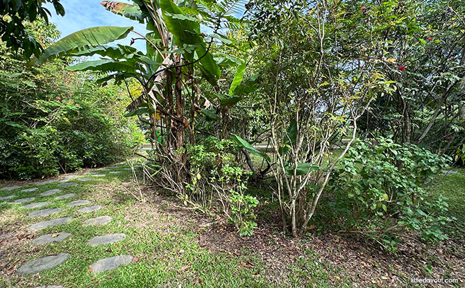 Bukit Gombak Park: Hillside Greenery With Butterfly Garden, Dog Run & Playground 4 Butterfly Garden at Hilltop at Bukit Gombak Park