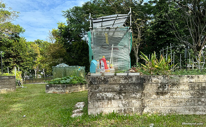 Bukit Gombak Park: Hillside Greenery With Butterfly Garden, Dog Run & Playground 6 allotment gardens and elevated plots
