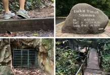 Bukit Timah Hill: Kid-Friendly Guide To Singapore’s Tallest Hill (Including 6 Trails) Bukit Timah Hill: Kid-Friendly Guide To Singapore's Tallest Hill (Including 6 Trails)
