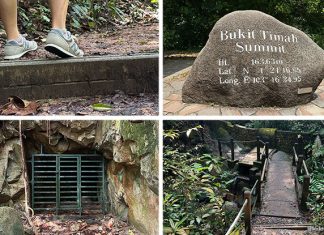 Bukit Timah Hill: Kid-Friendly Guide To Singapore’s Tallest Hill (Including 6 Trails) Bukit Timah Hill: Kid-Friendly Guide To Singapore's Tallest Hill (Including 6 Trails)