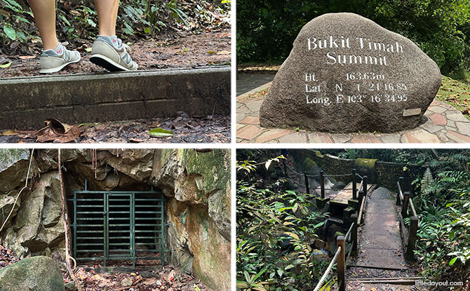Bukit Timah Hill: Kid-Friendly Guide To Singapore's Tallest Hill (Including 6 Trails) Bukit Timah Hill: Kid-Friendly Guide To Singapore's Tallest Hill (Including 6 Trails)