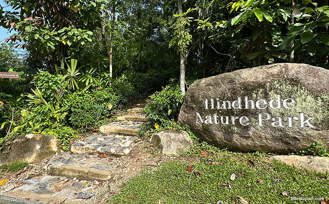 Bukit Timah Hill: Kid-Friendly Guide To Singapore's Tallest Hill (Including 6 Trails) 19 accessed directly from the Bukit Timah Hill car park
