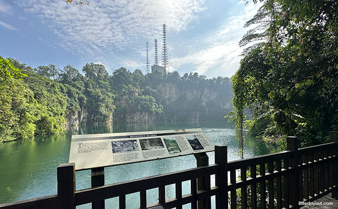 Bukit Timah Hill: Kid-Friendly Guide To Singapore's Tallest Hill (Including 6 Trails) 16 Hindhede Nature Park