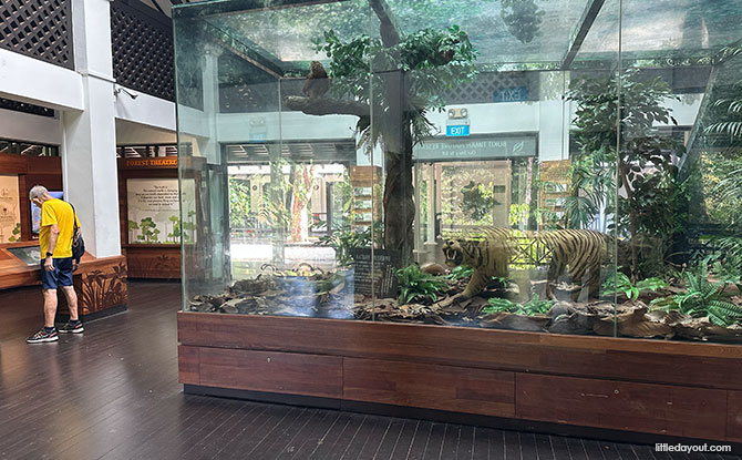 Bukit Timah Hill: Kid-Friendly Guide To Singapore's Tallest Hill (Including 6 Trails) 3 informative gallery