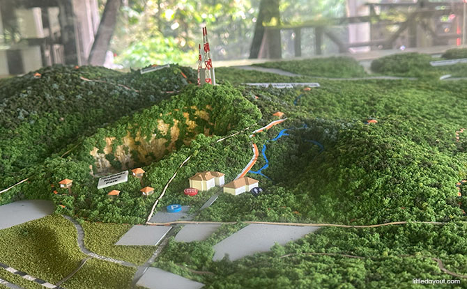 Bukit Timah Hill: Kid-Friendly Guide To Singapore's Tallest Hill (Including 6 Trails) 4 model of Bukit Timah Hill