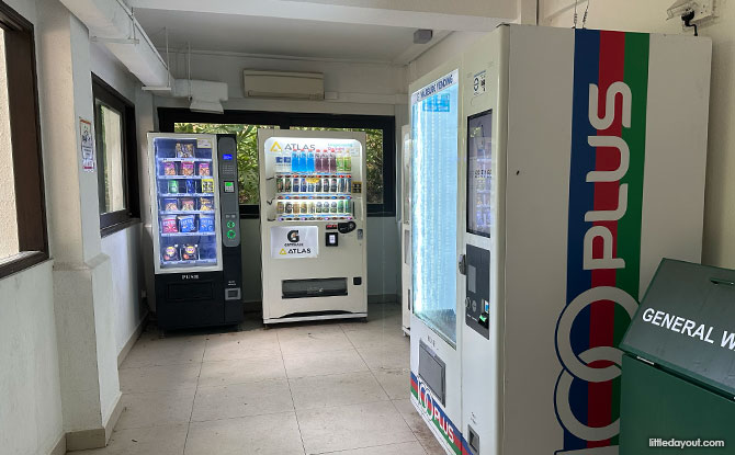 Bukit Timah Hill: Kid-Friendly Guide To Singapore's Tallest Hill (Including 6 Trails) 25 Vending Machines