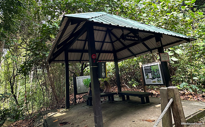 Bukit Timah Hill: Kid-Friendly Guide To Singapore's Tallest Hill (Including 6 Trails) 8 South View Path & Hut