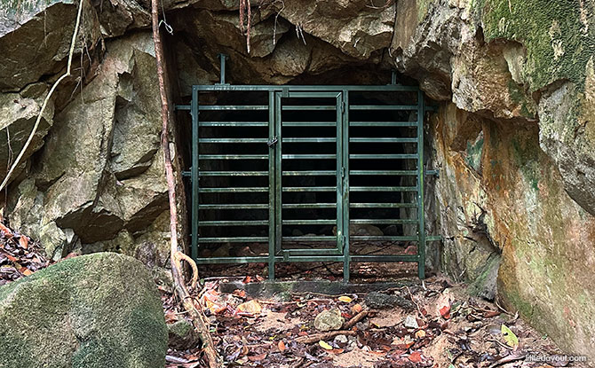 Bukit Timah Hill: Kid-Friendly Guide To Singapore's Tallest Hill (Including 6 Trails) 9 Cave Path