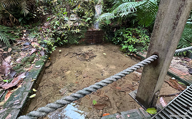 Bukit Timah Hill: Kid-Friendly Guide To Singapore's Tallest Hill (Including 6 Trails) 10 stream