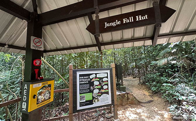 Bukit Timah Hill: Kid-Friendly Guide To Singapore's Tallest Hill (Including 6 Trails) 14 Jungle Fall Hut