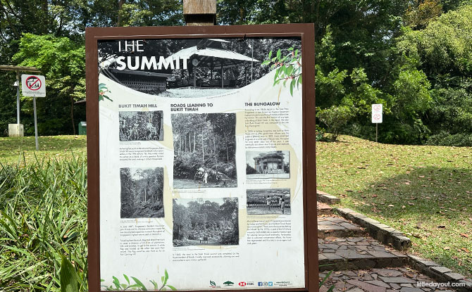 Bukit Timah Hill: Kid-Friendly Guide To Singapore's Tallest Hill (Including 6 Trails) 7 make it to the summit of Bukit Timah Hill.