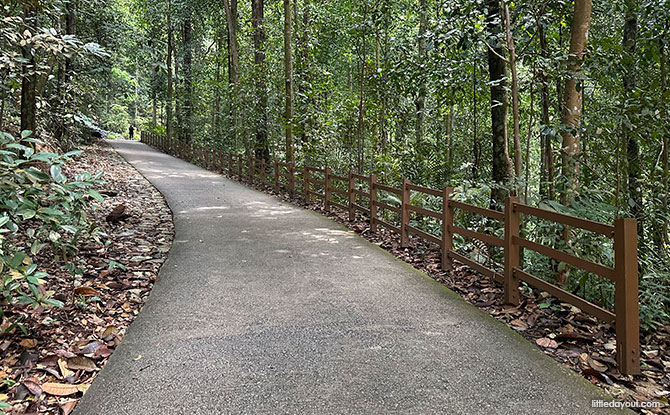 Bukit Timah Hill: Kid-Friendly Guide To Singapore's Tallest Hill (Including 6 Trails) 5 Main Road to the Summit