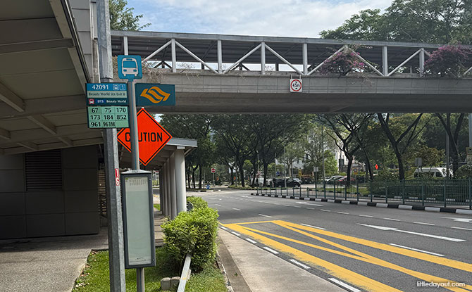 Bukit Timah Hill: Kid-Friendly Guide To Singapore's Tallest Hill (Including 6 Trails) 21 Bus to Hindhede and Bukit Timah Hill