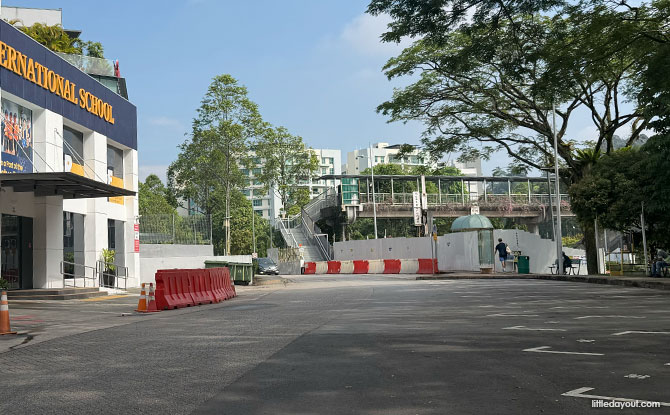 Bukit Timah Hill: Kid-Friendly Guide To Singapore's Tallest Hill (Including 6 Trails) 20 Useful Things to Know About Bukit Timah Hill