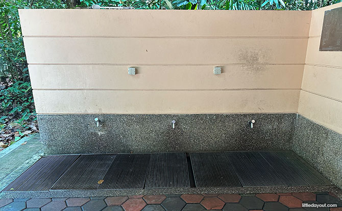 Bukit Timah Hill: Kid-Friendly Guide To Singapore's Tallest Hill (Including 6 Trails) 24 Wash Point