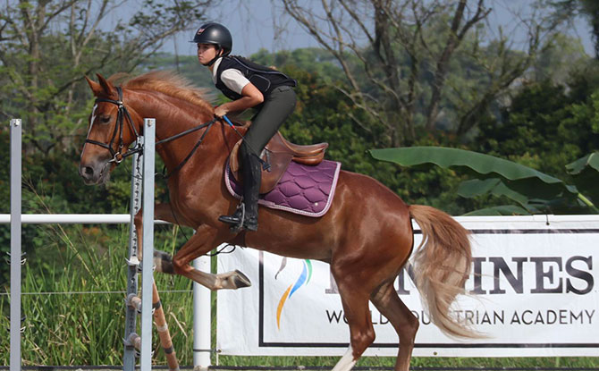 Horse Riding In Singapore: Where To Interact With Horses 2 Bukit Timah Saddle Club