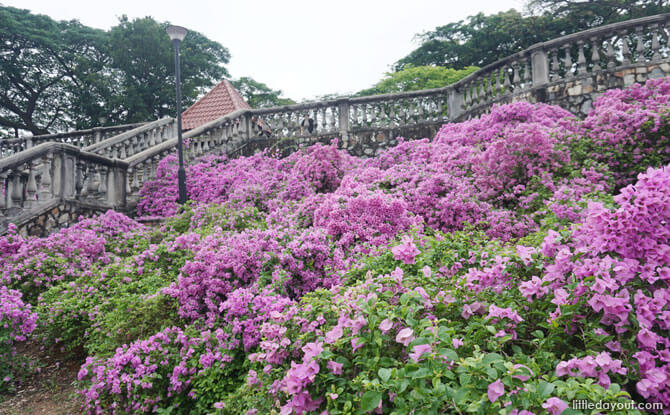 Terrace Garden, Telok Blangah Hill Park