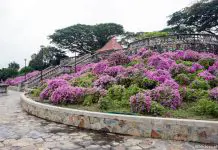 Terrace Garden, Telok Blangah Hill Park