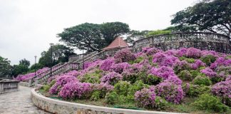 Terrace Garden, Telok Blangah Hill Park