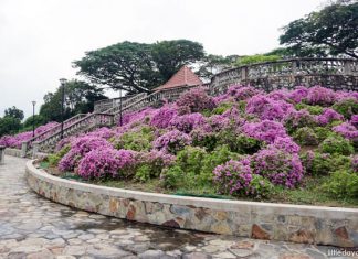 5 Easily-Missed Sights Along the Southern Ridges Terrace Garden, Telok Blangah Hill Park
