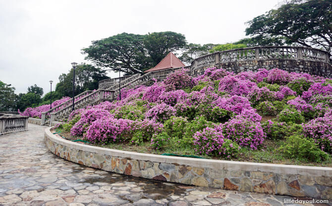 5 Easily-Missed Sights Along the Southern Ridges Terrace Garden, Telok Blangah Hill Park