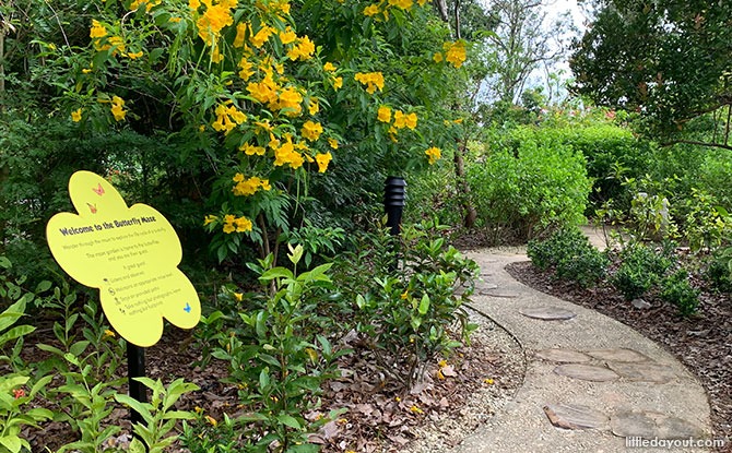 Butterfly Maze at Jurong Lake Gardens: Explore the Lifecycle of a Butterfly