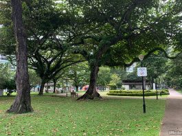 Katong Park: The Buried Fort, The Rainbow Tree & Playground