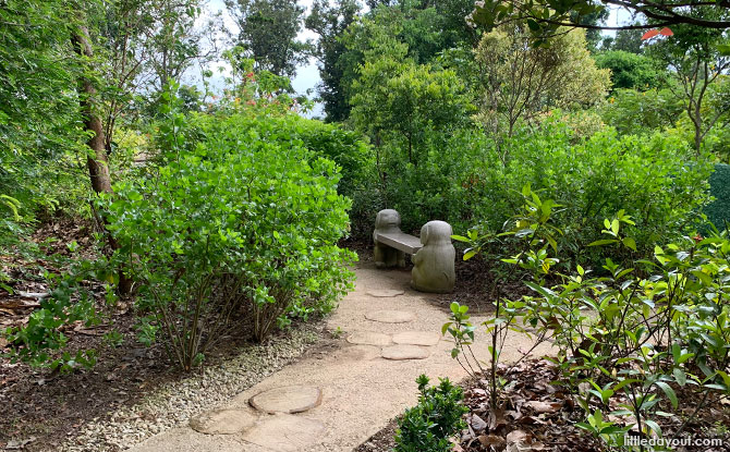 Exploring the Butterfly Maze