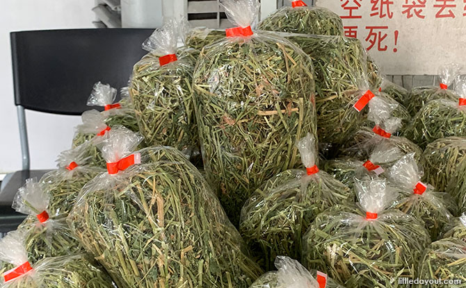 Alfalfa Hay at Hay Dairies Goat Farm