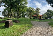 Yishun Neighbourhood Park: Hilltop Playground & Walk Yishun Neighbourhood Park: Hilltop Playground & Tranquil Walk