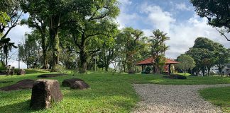 Yishun Neighbourhood Park: Hilltop Playground & Tranquil Walk