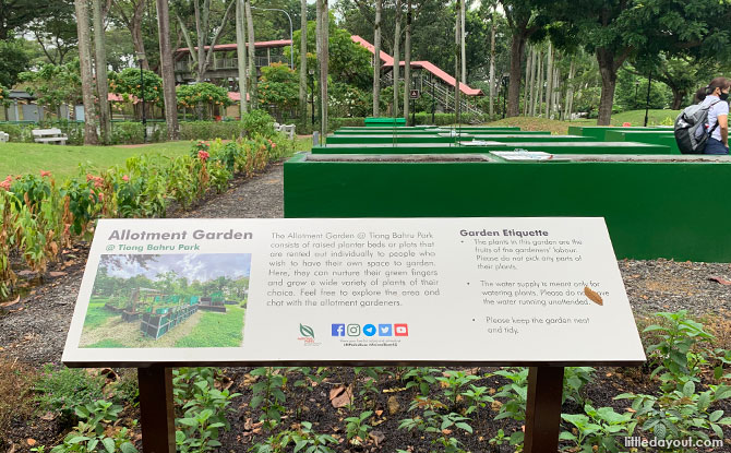 Tiong Bahru Park allotment garden