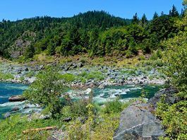 16 Interesting Facts About California For Kids