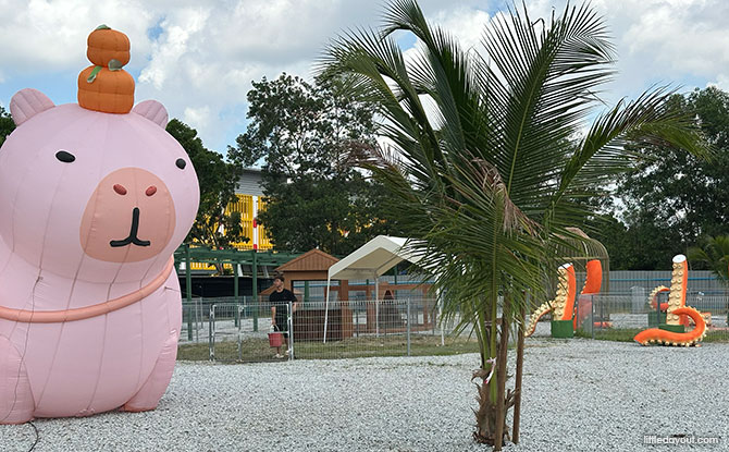 Capyba Pet Farm In JB: Meet & Feed The Capybaras & Other Animals 14 Capyba Pet Farm Interior