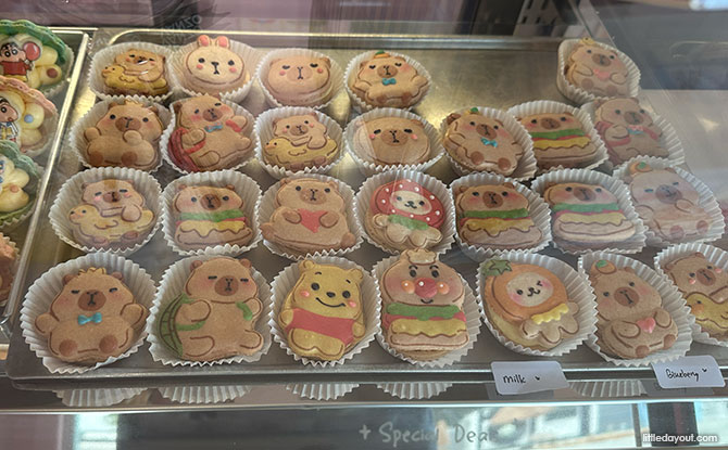 Capyba Pet Farm In JB: Meet & Feed The Capybaras & Other Animals 10 capybara-shaped macarons