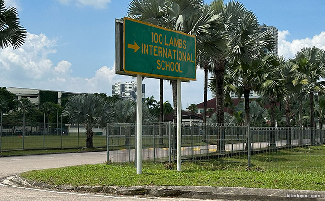 Capyba Pet Farm In JB: Meet & Feed The Capybaras & Other Animals 13 100 Lambs International School