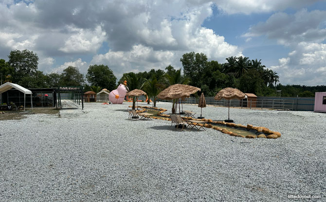 Capyba Pet Farm In JB: Meet & Feed The Capybaras & Other Animals 3 first impression of the Capyba Pet Farm