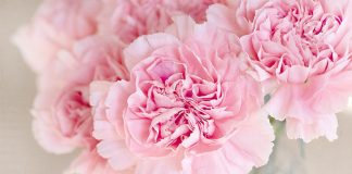 Things To Do This Mother's Day Weekend In Singapore: 13 & 14 May 2023