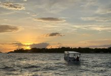 Things To Do In Cebu For Families