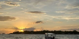 Things To Do In Cebu For Families
