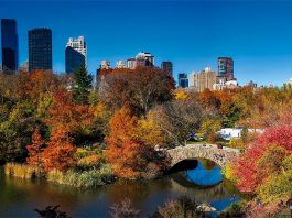 Interesting NYC Central Park Facts For Kids