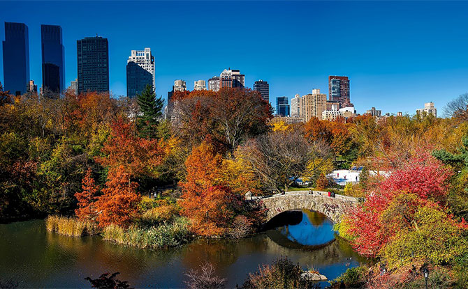 Interesting NYC Central Park Facts For Kids