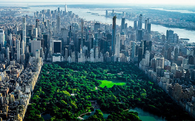 Fascinating NYC Central Park Facts for Kids