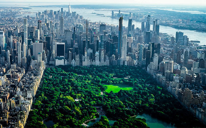 20 Interesting NYC Central Park Facts For Kids - Little Day Out